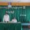 ျပည္ေထာင္စုႀကံ့ခိုင္ေရးႏွင့္ဖြံ႕ၿဖိဳးေရးပါတီ ဗဟိုအတြင္းေရးမႉး ဦးပိုက္ေထြး မင္းဘူးခရိုင္ႏွင့္ ၿမိဳ႕နယ္၊ ရပ္ေက်းပါတီဝင္မ်ားႏွင့္ ေတြ႕ဆုံ