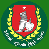 USDP Logo