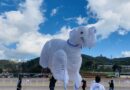တောင်ကြီးမြို့ရှိ အဝေရာမီးပုံးပျံကွင်း၌ တန်ဆောင်တိုင်မီးပုံးပျံပွဲတော် ကျင်းပပြုလုပ်မည်