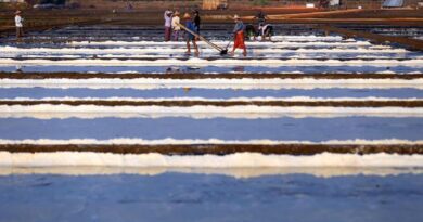 လပြတၱာၿမိဳ႕နယ္၌ ေဒသထြက္ေနလွန္းဆားမ်ား အေရာင္းအဝယ္ေကာင္းမြန္ေန လပြတၱာၿမိဳ႕နယ္၌ ေဒသထြက္ေနလွန္းဆားမ်ား အေရာင္းအဝယ္ေကာင္းမြန္ေန