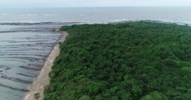 ငပုေတာၿမိဳ႕နယ္အတြင္းရွိ သမီးလွကြၽန္း ေတာ႐ိုင္းတိရစာၦန္ေဘးမဲ့ေတာအား “သမီးလွကြၽန္း အဏၰဝါအမ်ိဳးသားဥယ်ာဥ္” အျဖစ္ ေျပာင္းလဲ၍ ဧရိယာျပင္ဆင္သတ္မွတ္