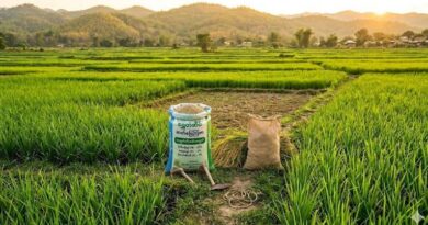 ဓာတ္ေျမဩဇာတင္သြင္းမႈအေပၚ ႀကိဳတင္ဝင္ေငြခြန္ကင္းလြတ္ခြင့္ ေမလကုန္အထိ တိုးျမႇင့္