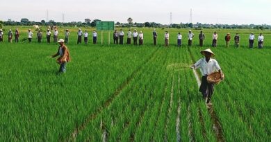 ဓာတ္ေျမဩဇာမ်ား ေစ်းႏႈန္းသက္သာစြာ ဝယ္ယူႏိုင္ေရး သမဝါယမစနစ္ျဖင့္ ေရာင္းခ်ေပးေန ဓာတ္ေျမဩဇာမ်ား ေစ်းႏႈန္းသက္သာစြာ ဝယ္ယူႏိုင္ေရး သမဝါယမစနစ္ျဖင့္ ေရာင္းခ်ေပးေန