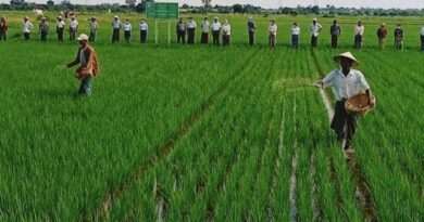 ယူရီးယားႏွင့္ ကြန္ေပါင္းဓာတ္ေျမဩဇာမ်ား ေဒသအလိုက္ လြတ္လပ္စြာ ဝယ္ယူႏိုင္ရန္ စီစဥ္ထား ယူရီးယားႏွင့္ ကြန္ေပါင္းဓာတ္ေျမဩဇာမ်ား ေဒသအလိုက္ လြတ္လပ္စြာ ဝယ္ယူႏိုင္ရန္ စီစဥ္ထား