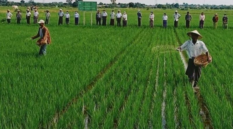 ယူရီးယားႏွင့္ ကြန္ေပါင္းဓာတ္ေျမဩဇာမ်ား ေဒသအလိုက္ လြတ္လပ္စြာ ဝယ္ယူႏိုင္ရန္ စီစဥ္ထား ယူရီးယားႏွင့္ ကြန္ေပါင္းဓာတ္ေျမဩဇာမ်ား ေဒသအလိုက္ လြတ္လပ္စြာ ဝယ္ယူႏိုင္ရန္ စီစဥ္ထား