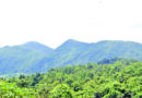 မိုင္းပ်ဥ္းၿမိဳ႕နယ္အတြင္း ဧရိယာ ၆၁,၀၀၈ ဧကရွိ သုဝဏၰသွ်ံေတာင္ ႀကိဳးျပင္ကာကြယ္ေတာ သတ္မွတ္ မိုင္းပ်ဥ္းၿမိဳ႕နယ္အတြင္း ဧရိယာ ၆၁,၀၀၈ ဧကရွိ သုဝဏၰသွ်ံေတာင္ ႀကိဳးျပင္ကာကြယ္ေတာ သတ္မွတ္