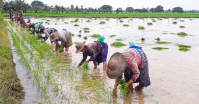 သီးထပ္စိုက္ပ်ိဳးသည့္ေတာင္သူမ်ားအား ေခ်းေငြ ထပ္မံထုတ္ေခ်းမည္ သီးထပ္စိုက္ပ်ိဳးသည့္ေတာင္သူမ်ားအား ေခ်းေငြ ထပ္မံထုတ္ေခ်းမည္