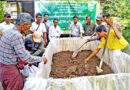 သဘာဝေျမဩဇာႏွင့္ EM ေဖ်ာ္ရည္ျပဳလုပ္နည္းသင္တန္းဖြင့္လွစ္ပို႔ခ်