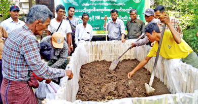 သဘာဝေျမဩဇာႏွင့္ EM ေဖ်ာ္ရည္ျပဳလုပ္နည္းသင္တန္းဖြင့္လွစ္ပို႔ခ် သဘာဝေျမဩဇာႏွင့္ EM ေဖ်ာ္ရည္ျပဳလုပ္နည္းသင္တန္းဖြင့္လွစ္ပို႔ခ်